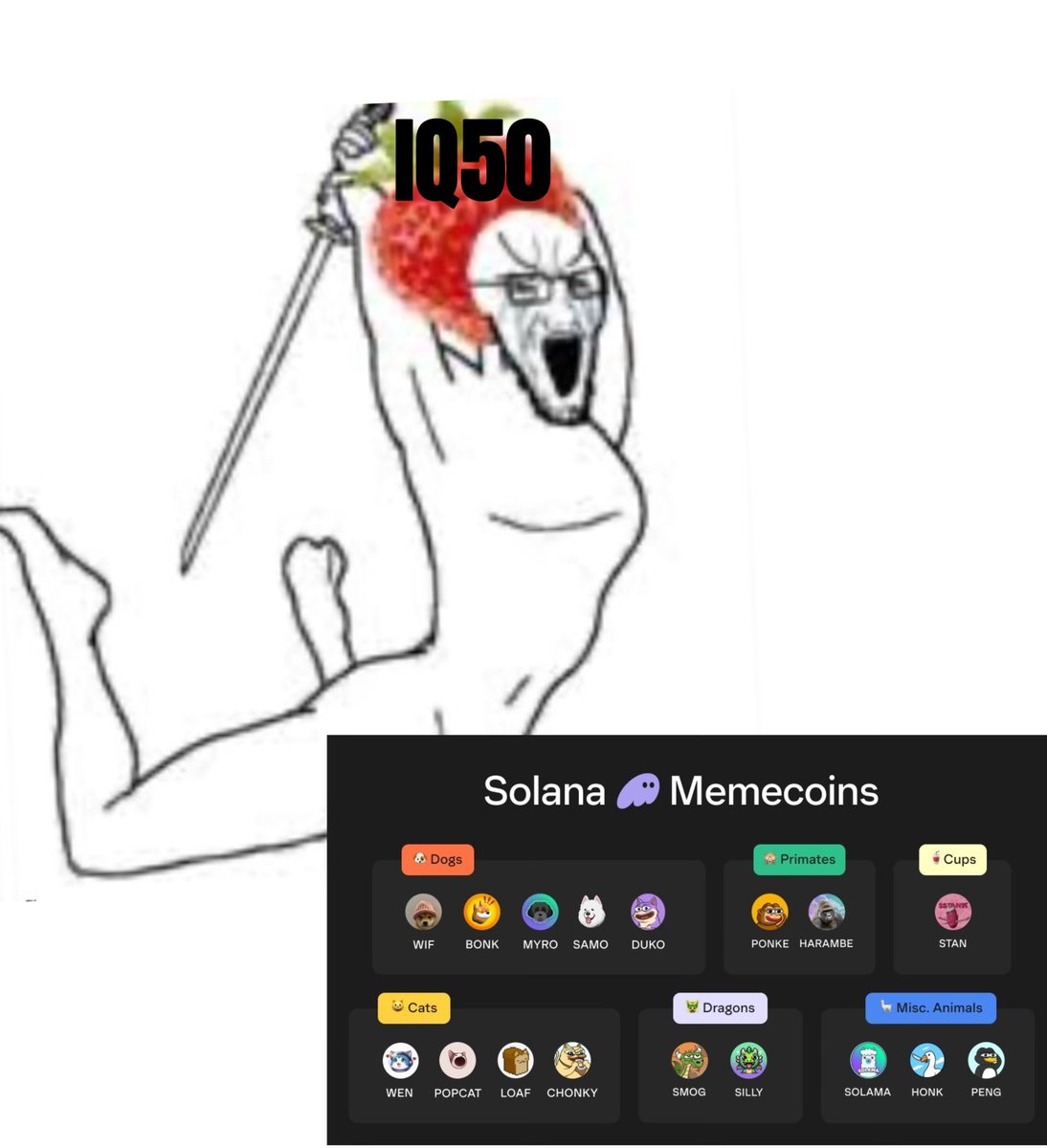 IQ50 - CTO tweet media