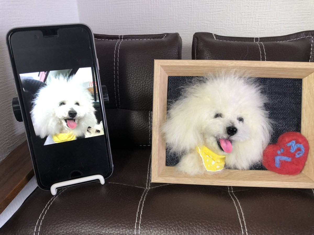 わたわたペット＠中の人 tweet media