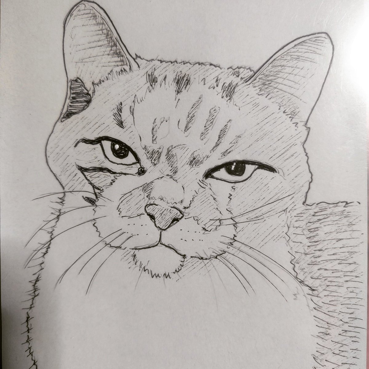 #ペン画 #ねこ #落書き 