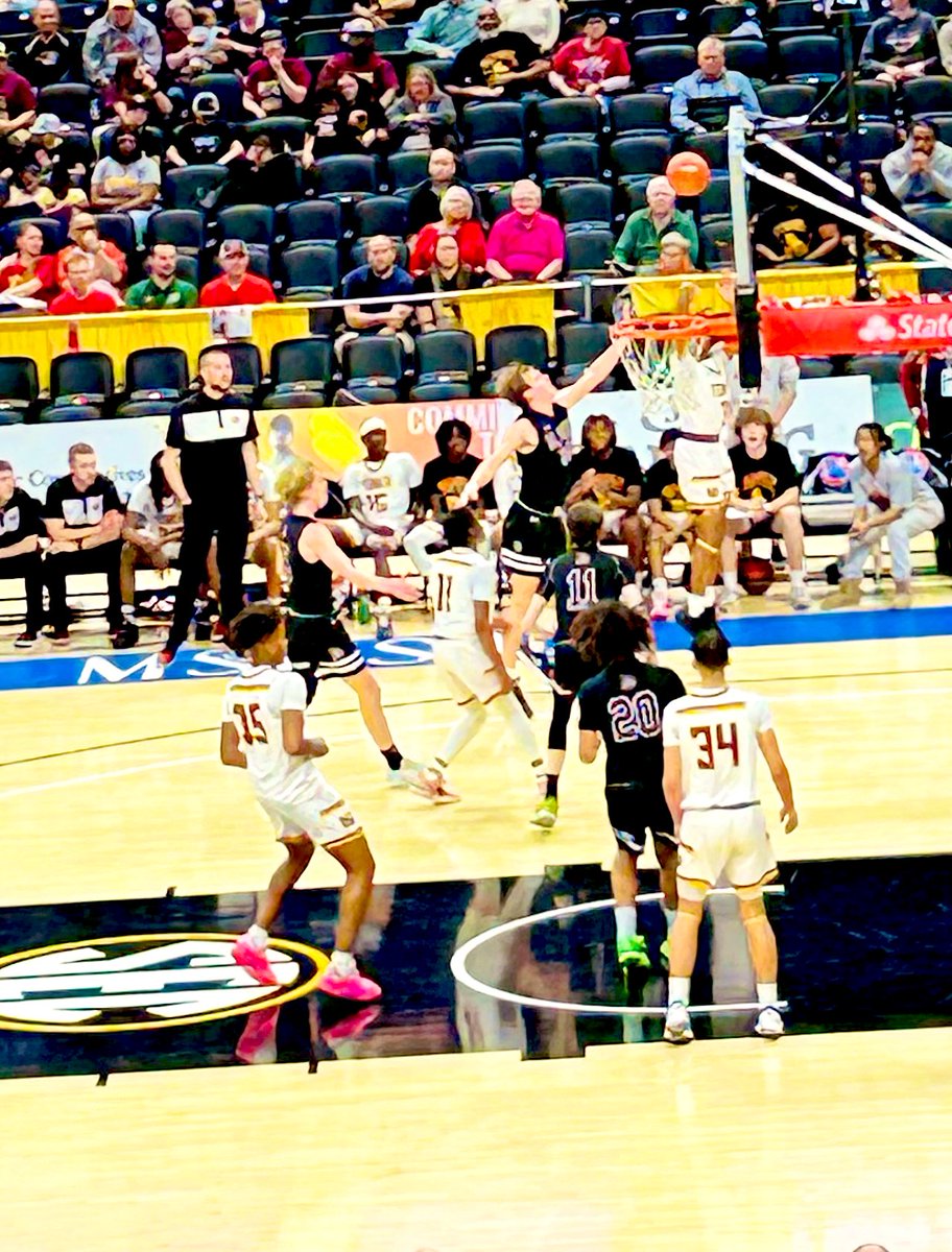 Dr. Shannon Calohan tweet media