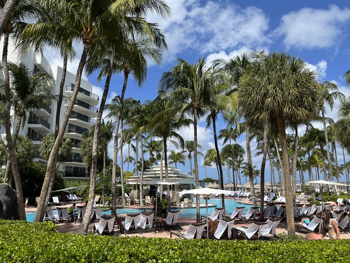 T-minus 4 months #aruba