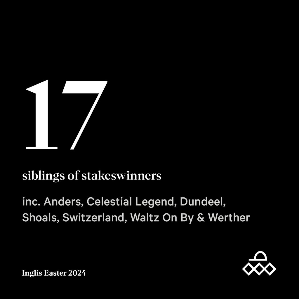ArrowfieldStud's tweet photo. A draft filled with talented siblings!
#InglisEaster #imagineit #arrowfield #inglisstats https://t.co/spBGVySffv