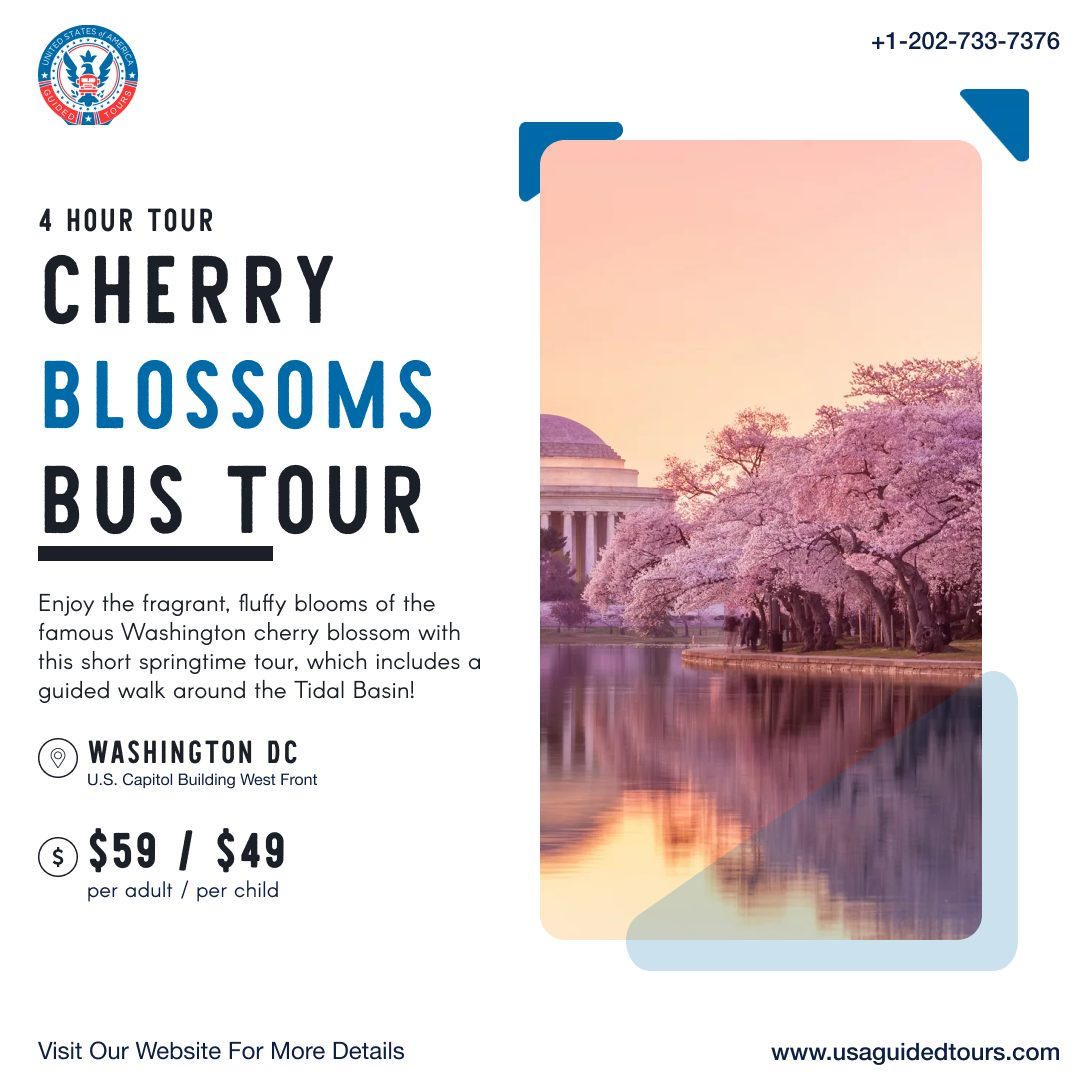 USA Guided Tours tweet media