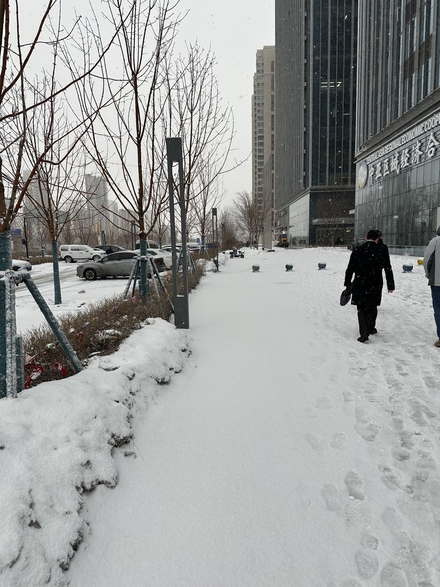 Mid- March Snow in Urumqi