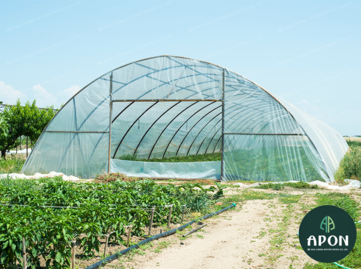 hsiachengvn's tweet image. Lưới chắn côn trùng và lưới che nắng đều là giải pháp mô hình nhà lưới vô cùng phù hợp đối với các giống cây đòi hỏi độ thoáng khí cao nhưng cần bảo vệ trước các tác động tiêu cực của thời tiết.
#nethouse #insectnet #luoicontrung #shadingnet #luoichenang