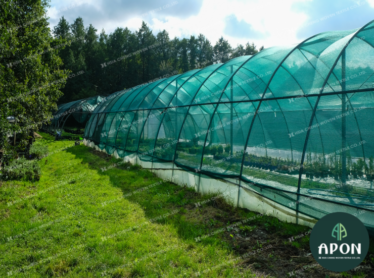 hsiachengvn's tweet image. Lưới chắn côn trùng và lưới che nắng đều là giải pháp mô hình nhà lưới vô cùng phù hợp đối với các giống cây đòi hỏi độ thoáng khí cao nhưng cần bảo vệ trước các tác động tiêu cực của thời tiết.
#nethouse #insectnet #luoicontrung #shadingnet #luoichenang