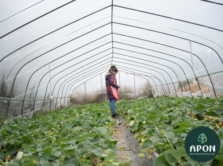 hsiachengvn's tweet image. Lưới chắn côn trùng và lưới che nắng đều là giải pháp mô hình nhà lưới vô cùng phù hợp đối với các giống cây đòi hỏi độ thoáng khí cao nhưng cần bảo vệ trước các tác động tiêu cực của thời tiết.
#nethouse #insectnet #luoicontrung #shadingnet #luoichenang