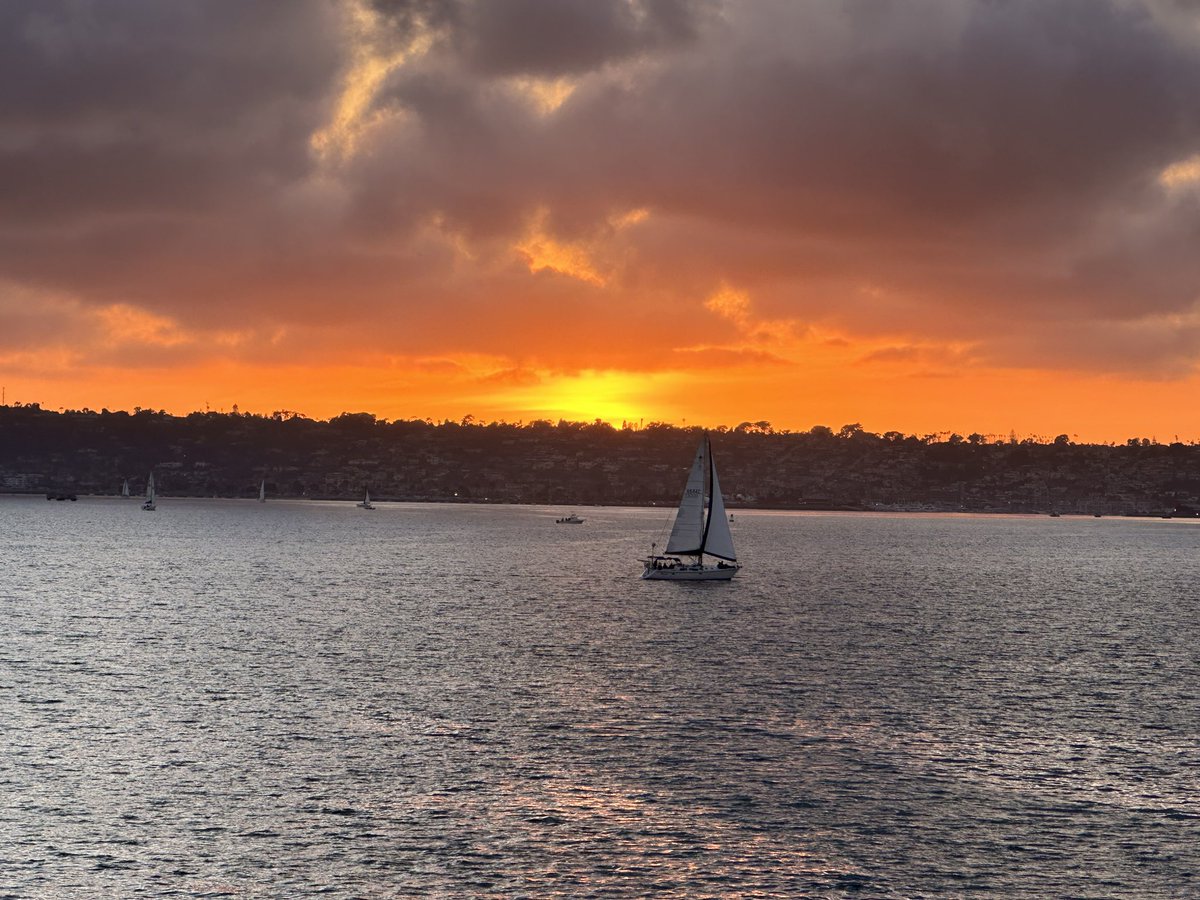 Dr John Studley tweet media