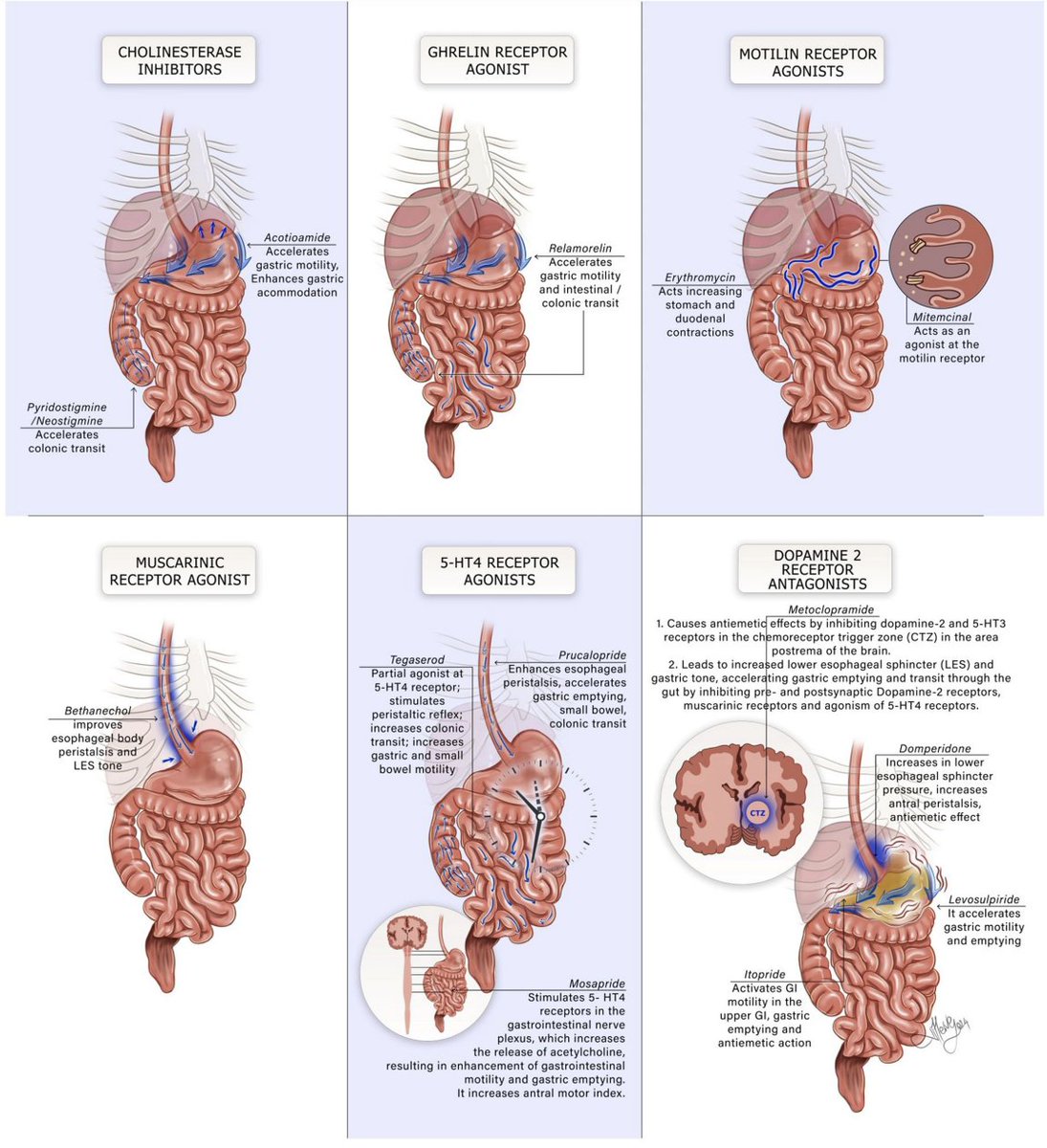 A master class on prokinetics from @NGMJournal! Here is a summary! 🧵👇 ⚡️🎈〽️🪠🫀💩🚄🧠✳️🗯️💊📰🚽🔌🧪💡🧲📊🔎 #MedTwitter #GITwitter #motility #pharmacology onlinelibrary.wiley.com/doi/full/10.11…