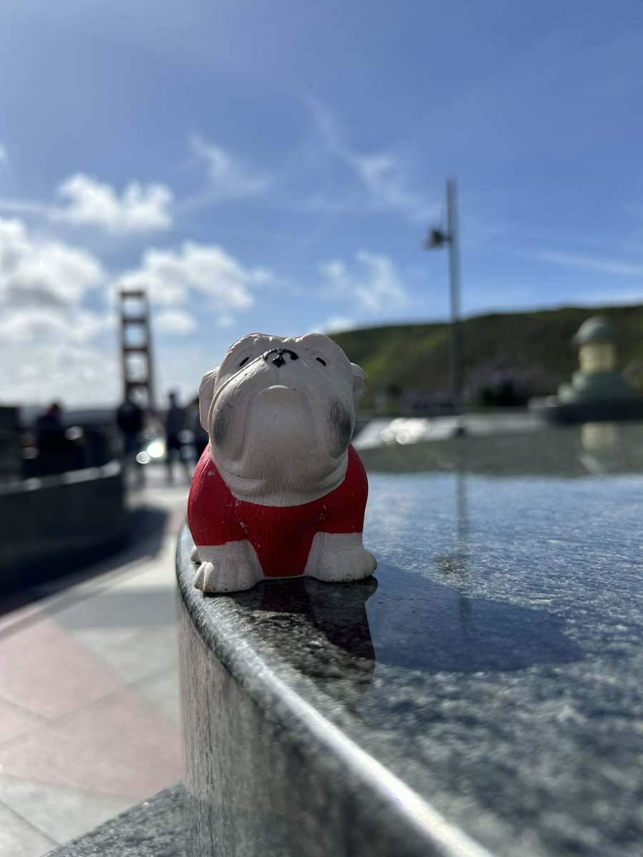 UGAinAUS's tweet photo. I’m back on tour with @76_rnw and @mtw_1818 in the USA! A big few days for us. Wonder where I will end up next. https://t.co/Gm9tzlI2Te