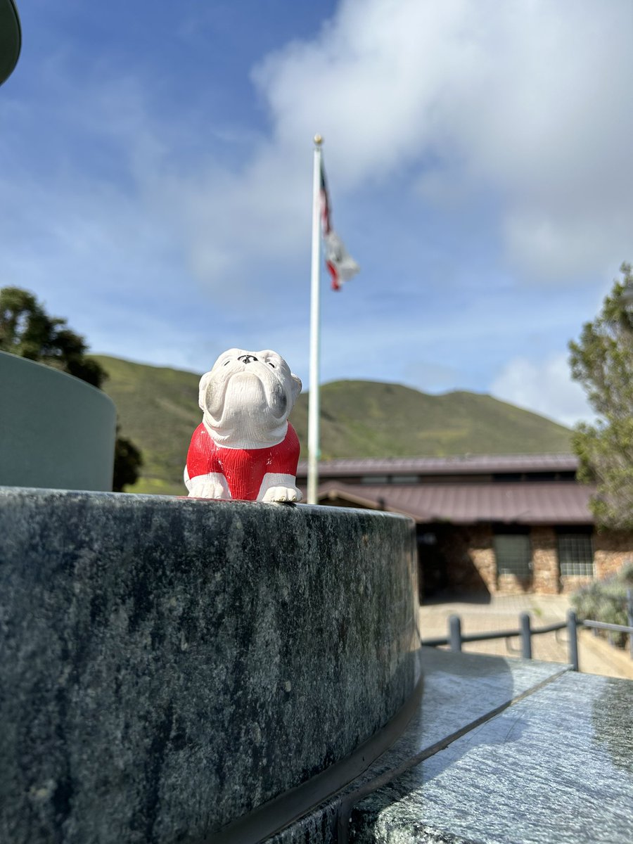 UGAinAUS's tweet photo. I’m back on tour with @76_rnw and @mtw_1818 in the USA! A big few days for us. Wonder where I will end up next. https://t.co/Gm9tzlI2Te