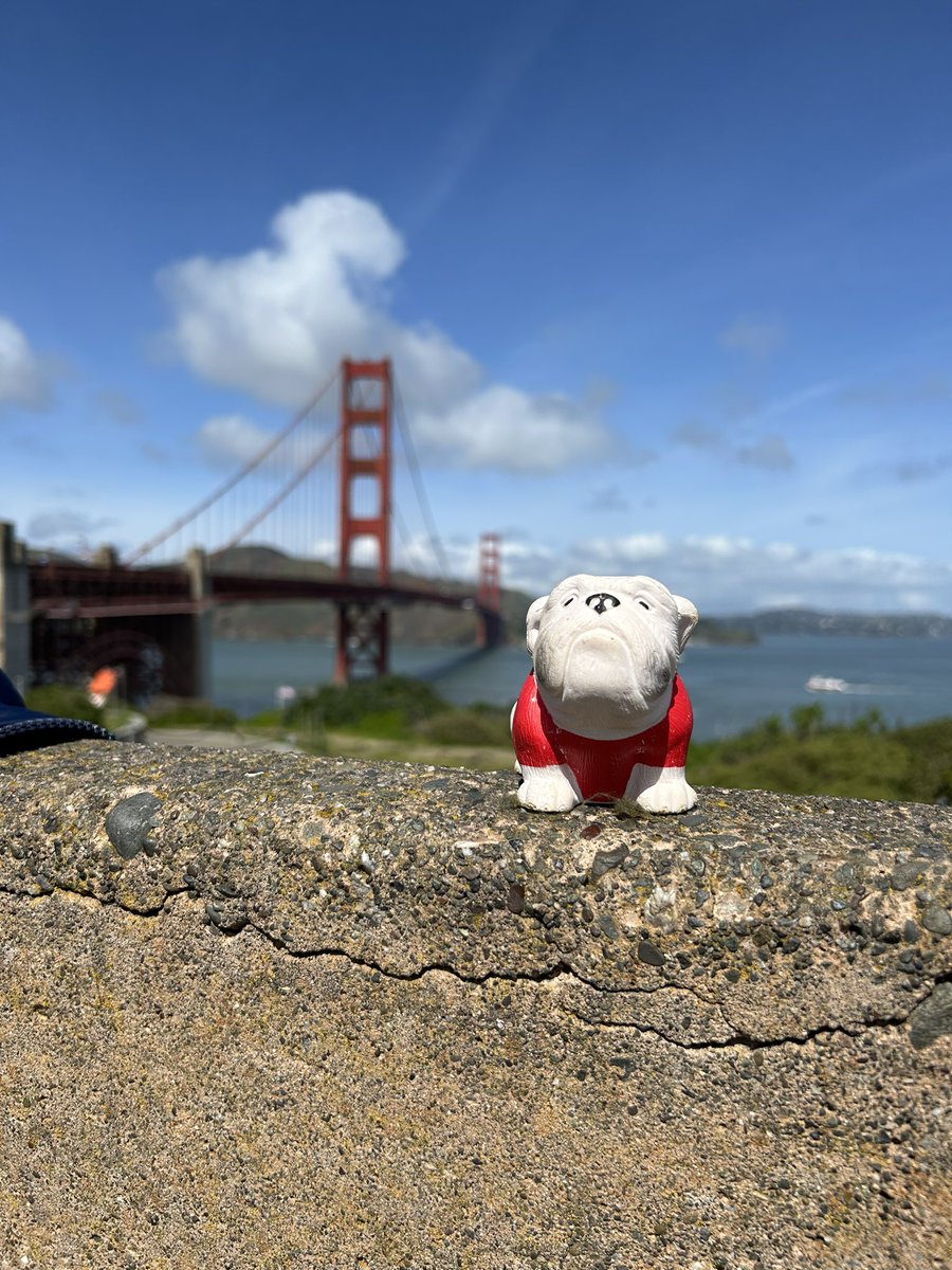 UGAinAUS's tweet photo. I’m back on tour with @76_rnw and @mtw_1818 in the USA! A big few days for us. Wonder where I will end up next. https://t.co/Gm9tzlI2Te