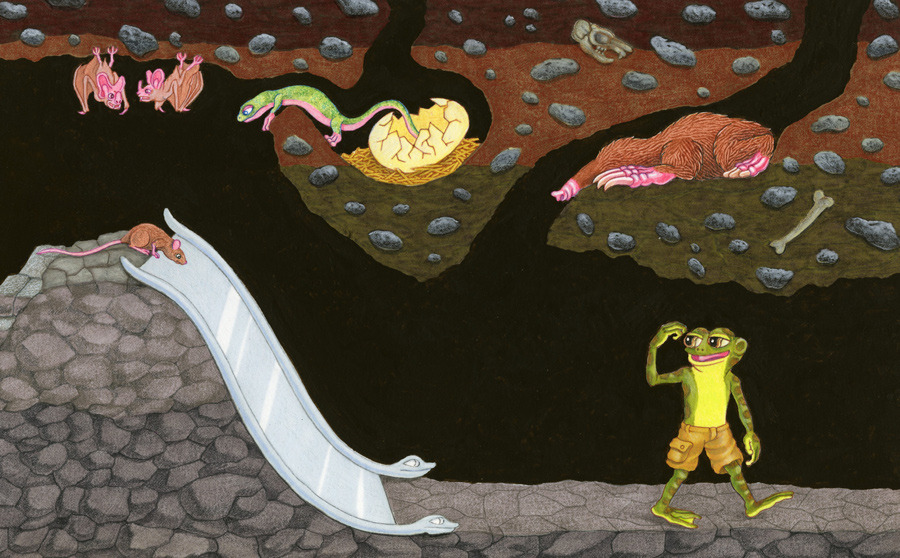 basedhoppy's tweet photo. $HOPPY has leaped into a mystical cave, uncovering a hidden world of magic and treasure... 🐸✨ https://t.co/kmoaxQFuTw