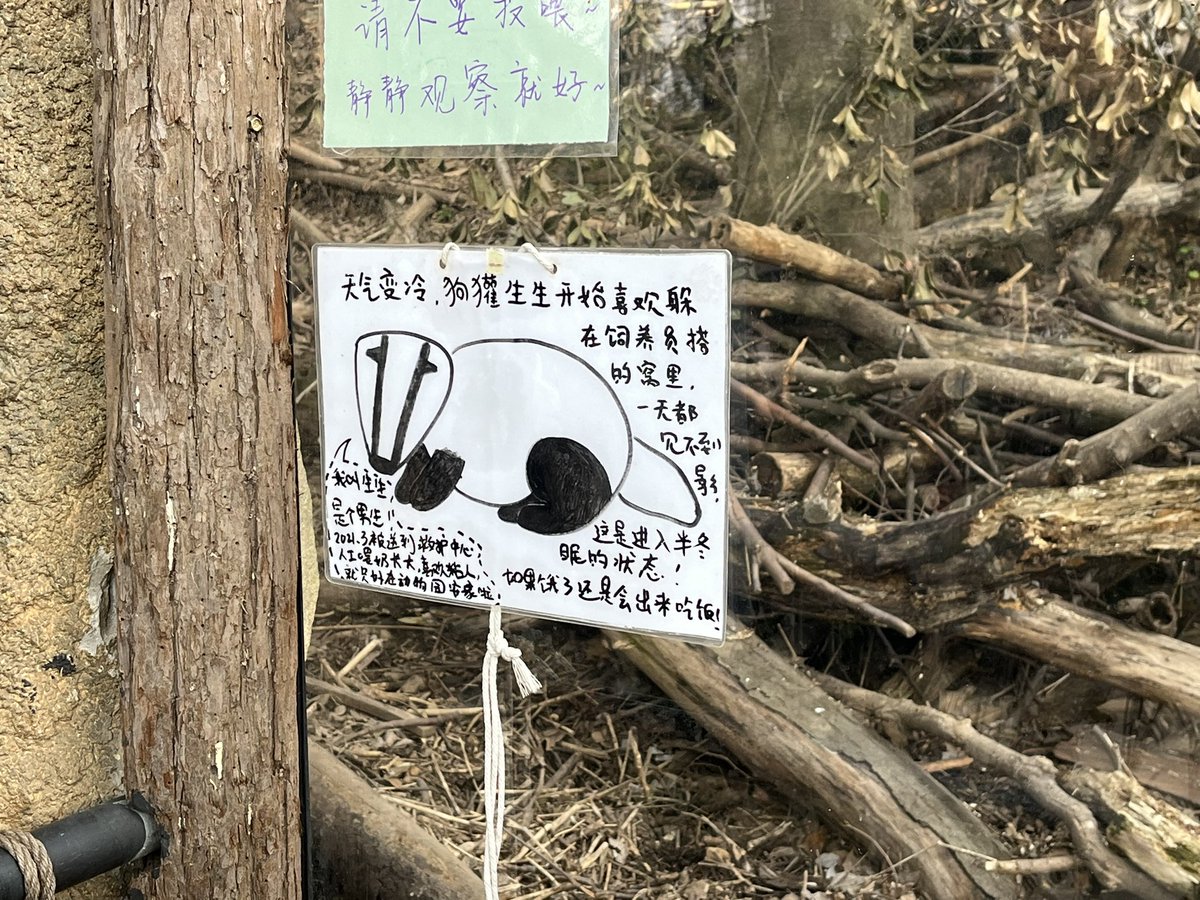 贾不假 tweet media