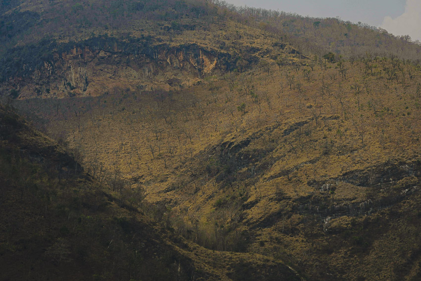 readthecloud's tweet image. ช่างภาพสารคดีสัตว์ป่าอย่าง ม.ล.ปริญญากร วรวรรณ เจ้าของคอลัมน์ #LifeonEarth ค้นพบบทเรียนสำคัญหลังจากไปเยือนที่มั่นสุดท้ายของ #กวางผา สัตว์ป่าที่ได้รับผลกระทบจากการรุกล้ำของมนุษย์ แต่ยังเอาชีวิตรอดมาได้ readthecloud.co/goral/