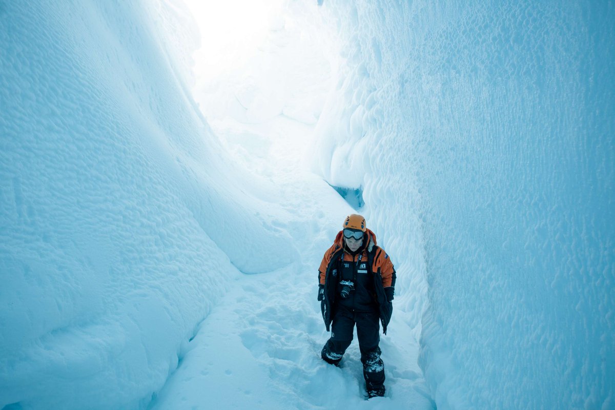 Are you a postgraduate student researching Antarctica and the Southern Ocean? You have until Monday to register your intention to apply for one of our scholarships. Don't miss out! Find all the info here: antarcticanz.govt.nz/science/schola… 📸 Bella Zeldis