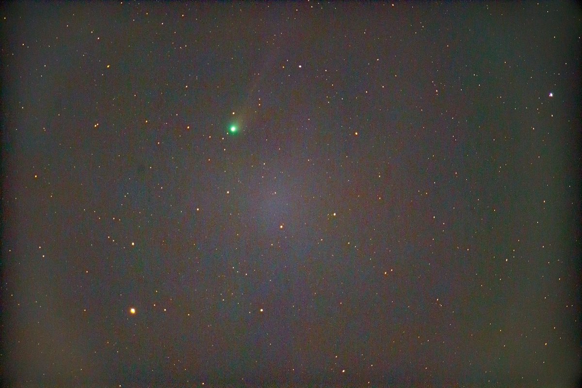 下手なりに彗星が撮れた！
#sonya7riii #sigma120300sports #テレコン×2　#ポンブルックス彗星　#猪名川天文台