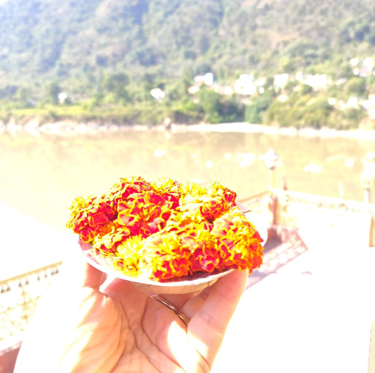 AanchalPsd's tweet image. प्रकृति का प्रेम। 🎋
बसंत का मौसम। 🌼
फूल भरे थाल। 🌺
बच्चो व बड़ों के चेहरे पे वो मुस्कान। 🌻
प्रकृति प्रेम और प्रकृति से समृद्धि का प्रतीक फूल देई का त्योहार। 🕉🙏
#phooldei #Uttarakhand
#फूलदेई