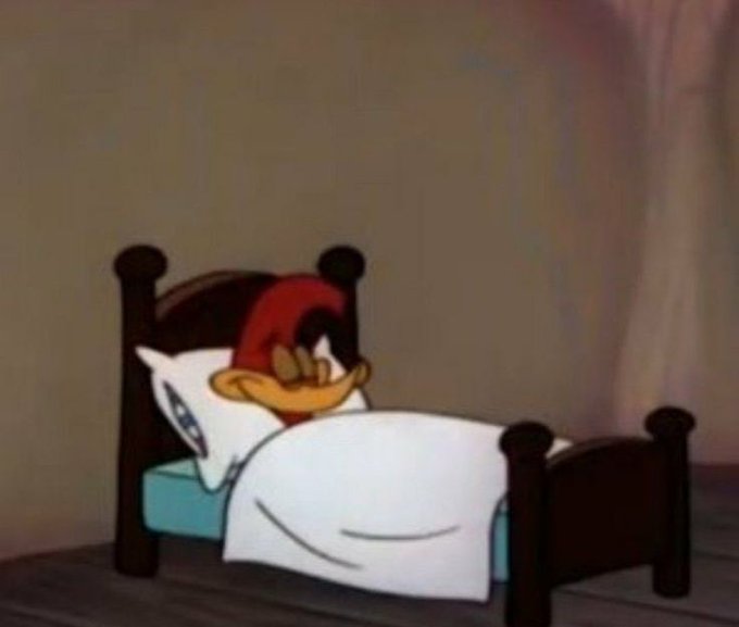 Gorda Frutillera’s pics and videos