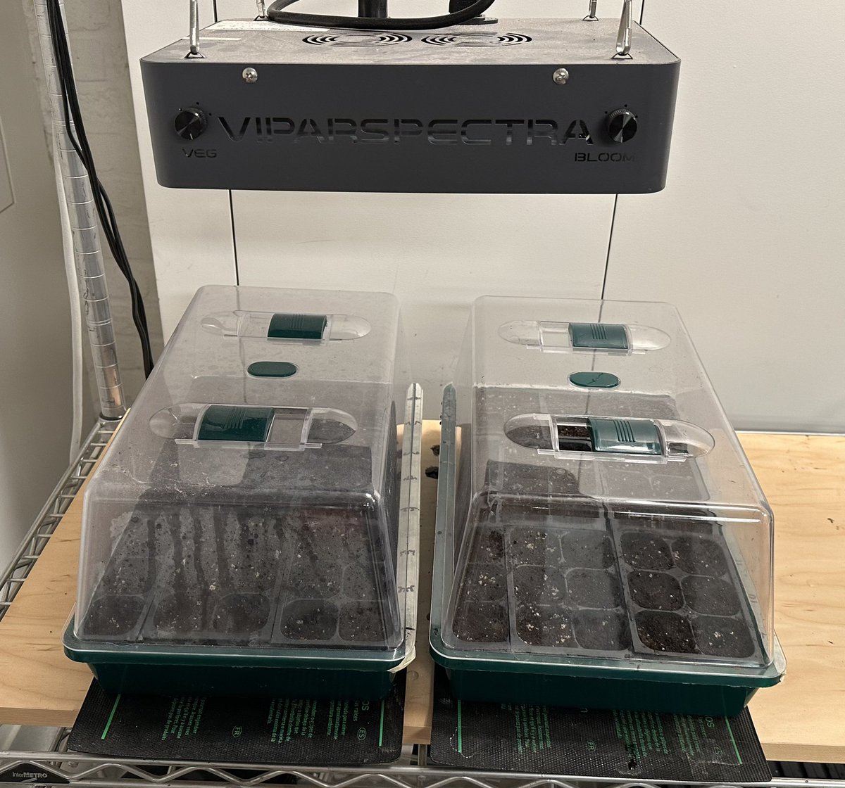 TheTedAllen's tweet photo. And so, it begins.
Seeds down today!
#tomatocommand https://t.co/BsSPzfMyoH