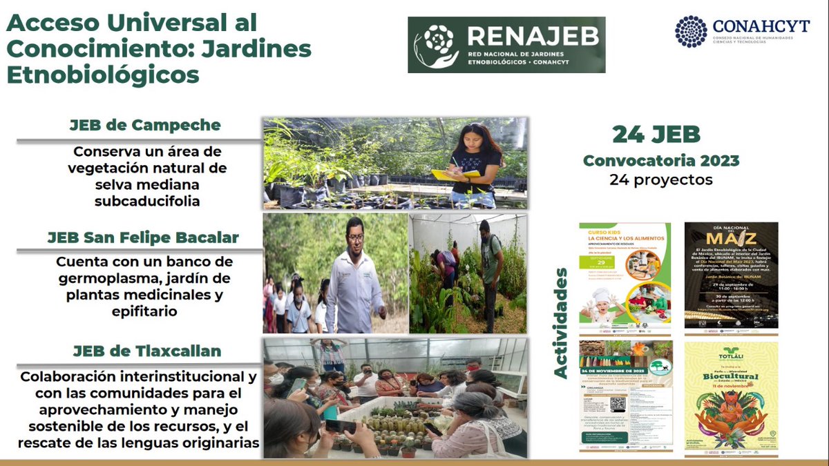 Junta de Gobierno @Conahcyt_Mex | 5.- Dio cuenta del acceso universal al conocimiento a través de la Red Nacional de Jardines Etnobiológicos #Renajeb y acciones de difusión científica para personas de todas las edades.
