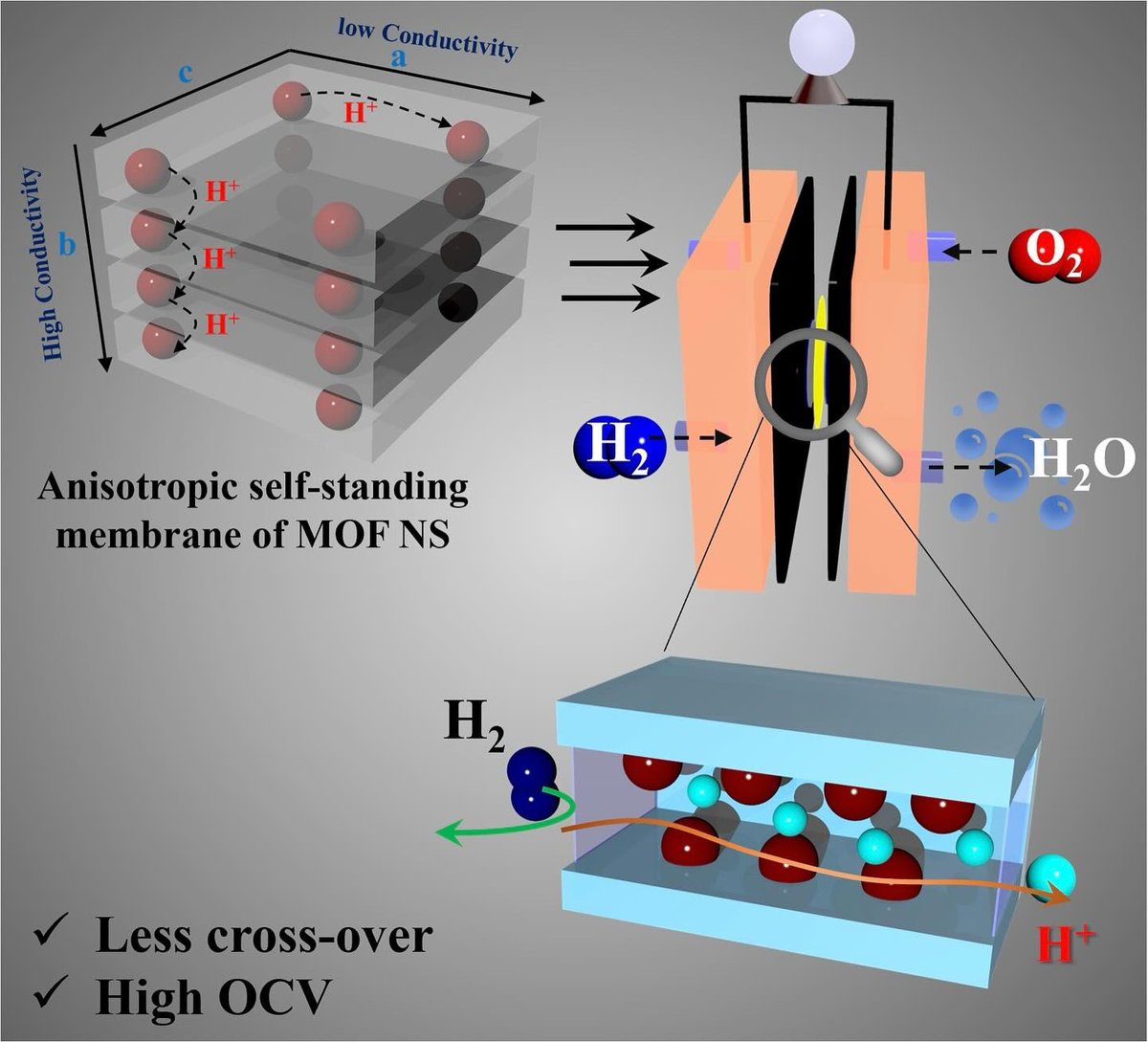 AgamoniPathak's tweet photo. https://t.co/c3CVJigOkR

 My second paper is out now in Small.  In this article, we have used nano sheets of MOF and out of those we prepare free standing membrane (no binding agent) and then it successfully demonstrates its activity as proton conducting membrane in fuel cell. 📖 https://t.co/Xd00JGcPvz