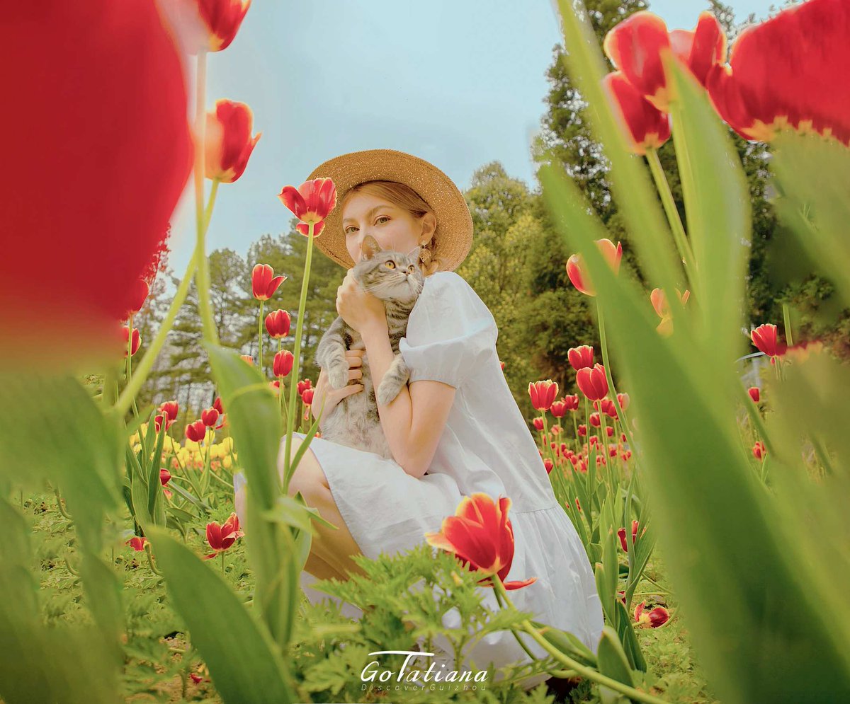 DiscoverGuizhou's tweet image. Embark on a nature outing with anchor Tatiana and dive into the captivating beauty of spring&apos;s tulips, painting the landscape with vibrant hues. Let&apos;s celebrate life, love, and prosperity amid this floral spectacle! 🌷✨#SpringLook #Tulip #SpringInGuizhou #Photography #上春山