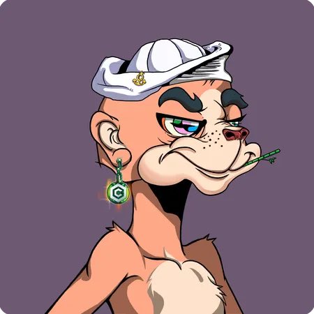 Crypto Diva tweet media