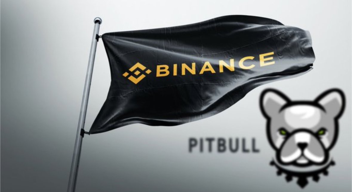 hasanmertking's tweet photo. #pitbulltoken için paylaşım yapmıştım az da olsa bir yükseliş gerçekleşti fakat yetmez en kötü şimdilik iki sıfır silmesi gerekiyor bu değerler böyle coin için çok komik. topluluğun gücünü gösterme zamanı geldi de geçiyor bile asıl #binance ile 🚀 #Bitcoin #shiba #doge #PIT #avax https://t.co/eJB5BygVhp