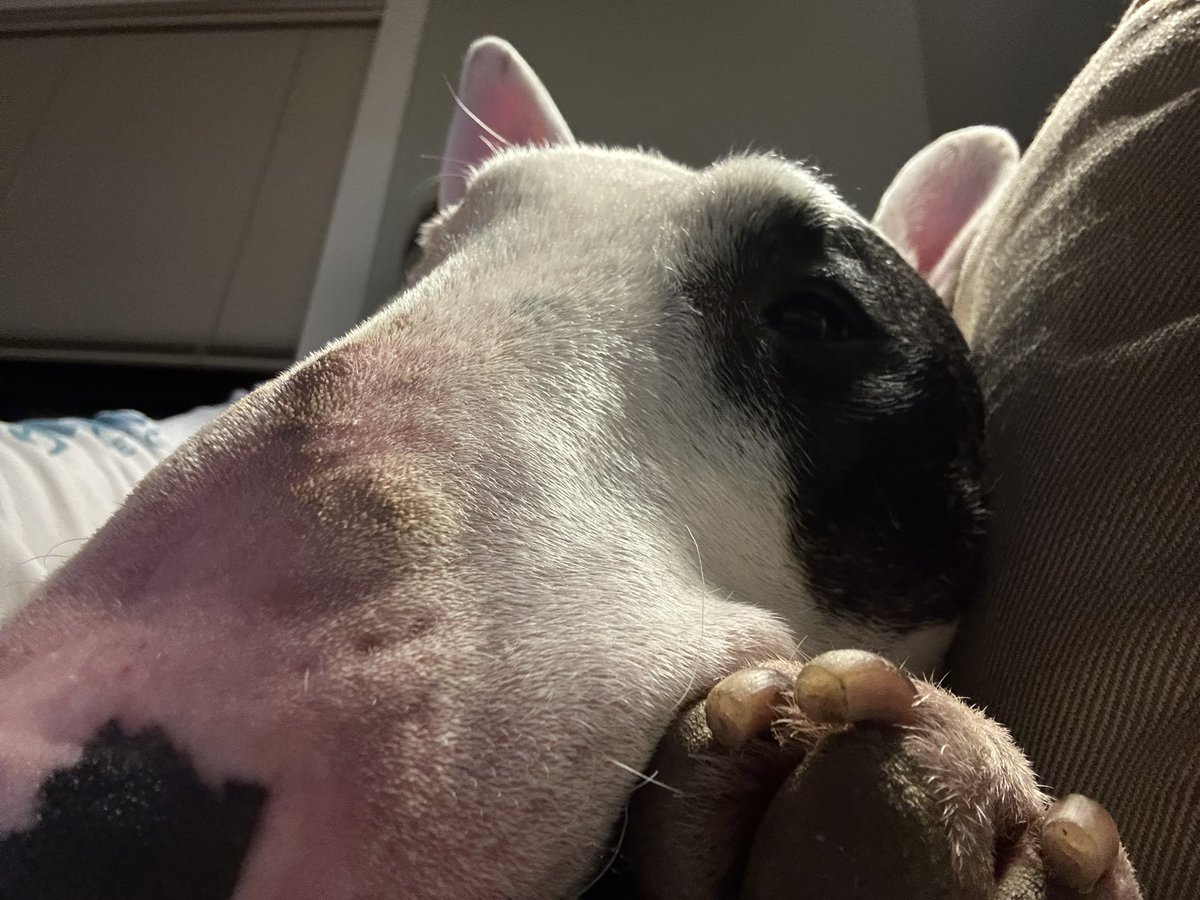 ZeroIsaGoodBoy's tweet photo. Selfie time! Feeling cute-might delete later... https://t.co/hwJWlagD3W