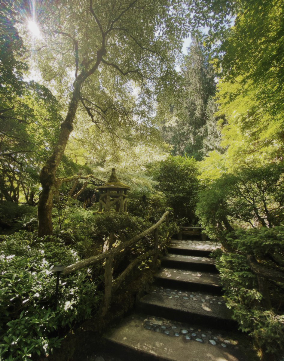 fishstands's tweet image. 