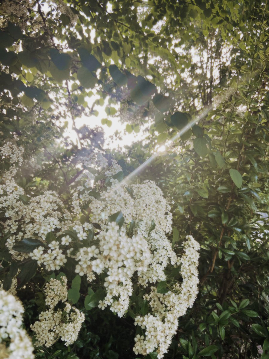 fishstands's tweet image. 