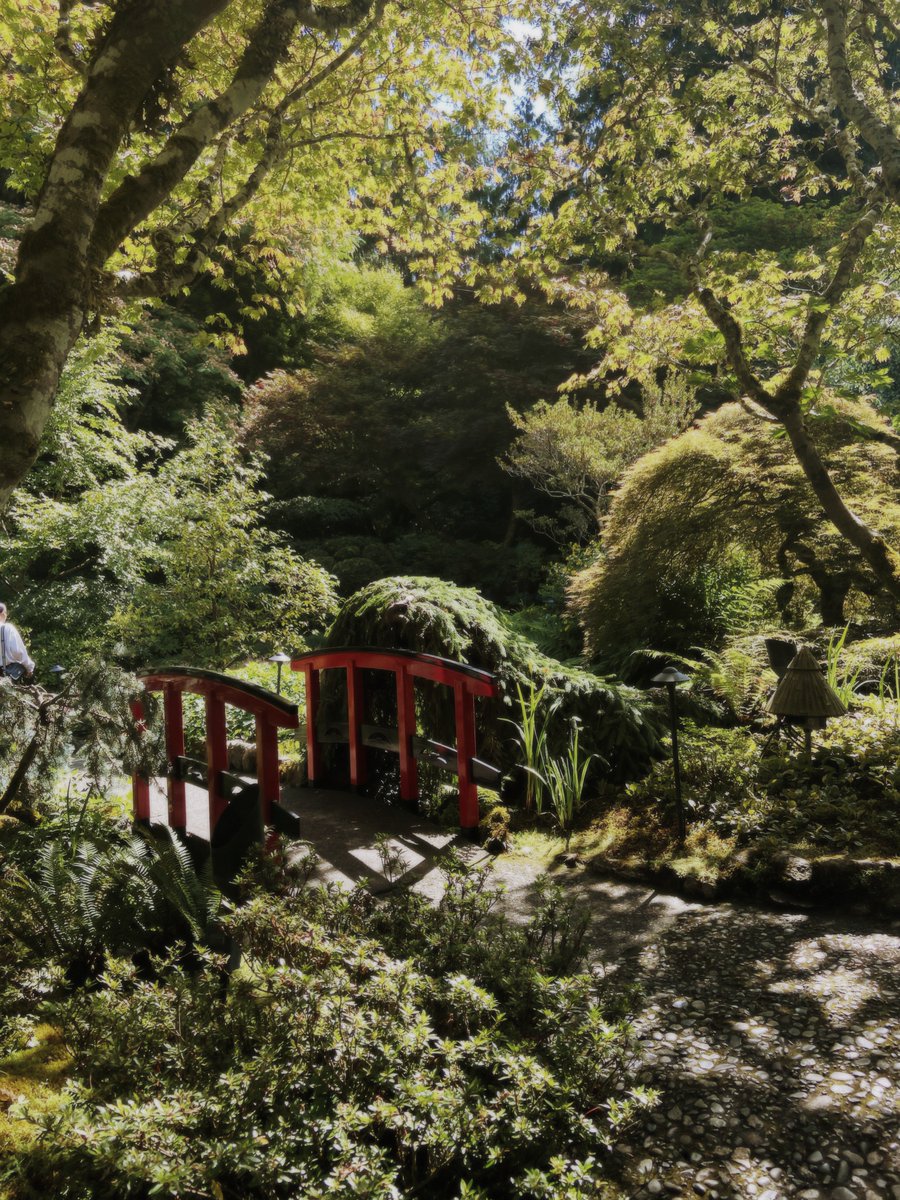 fishstands's tweet image. 