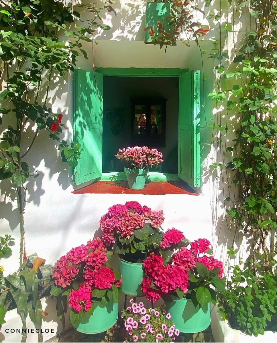 “Mutlu olmak, her şeyin yolunda olması demek değildir. Mutlu olmak, görmezden gelme konusunda ustalaşmak demek.”