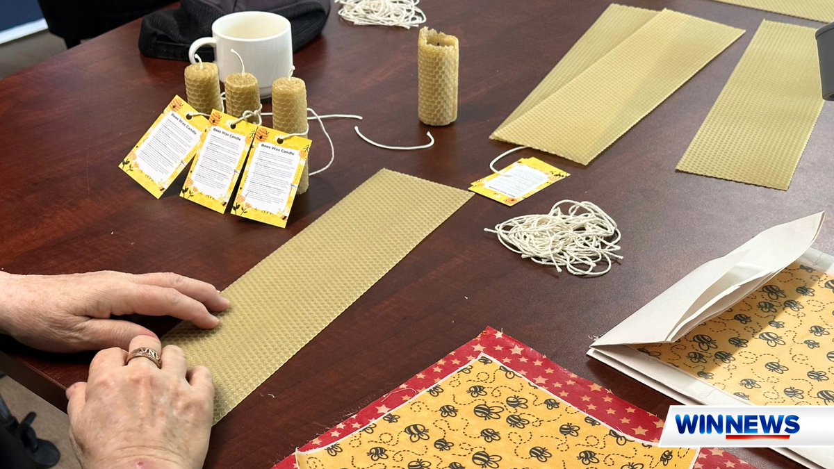 A handful of Wingecarribee residents today joined a free workshop, making re-usable wraps and candles from beeswax! See the story on WIN News at 5:30 🐝🕯️