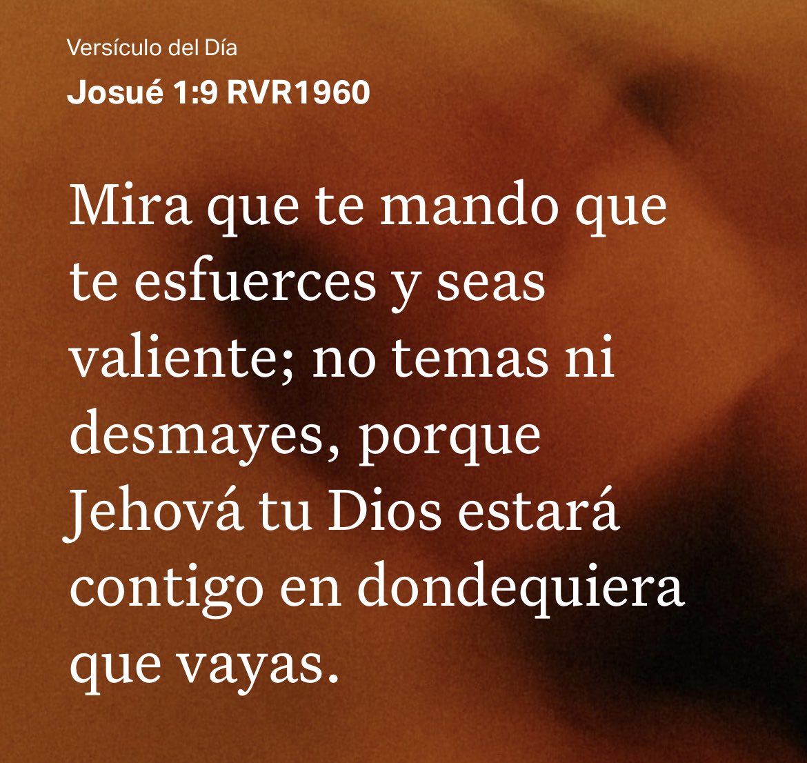 Lourdes Alvarado (@lourdesalvara2) on Twitter photo 