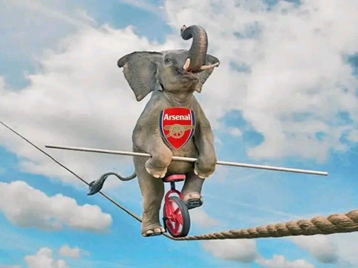 katsbreech's tweet photo. MR. ELEPHANT driving to FIFA offices to pick atrophy but I don't think it will reach 🤣🤣🤣🤣 https://t.co/ejV8JtWDKR