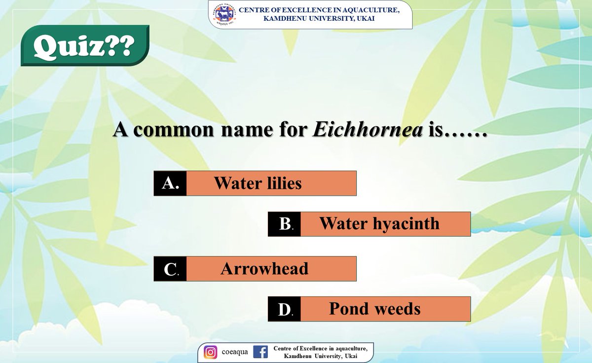 A Common name for Eichhornea is....
#commisssioneroffisheriesgujarat #coeaquaculturekuukai #fisheriesgoi #PMMSY #NFDB #MPEDA #quizz #waterhyacinth
