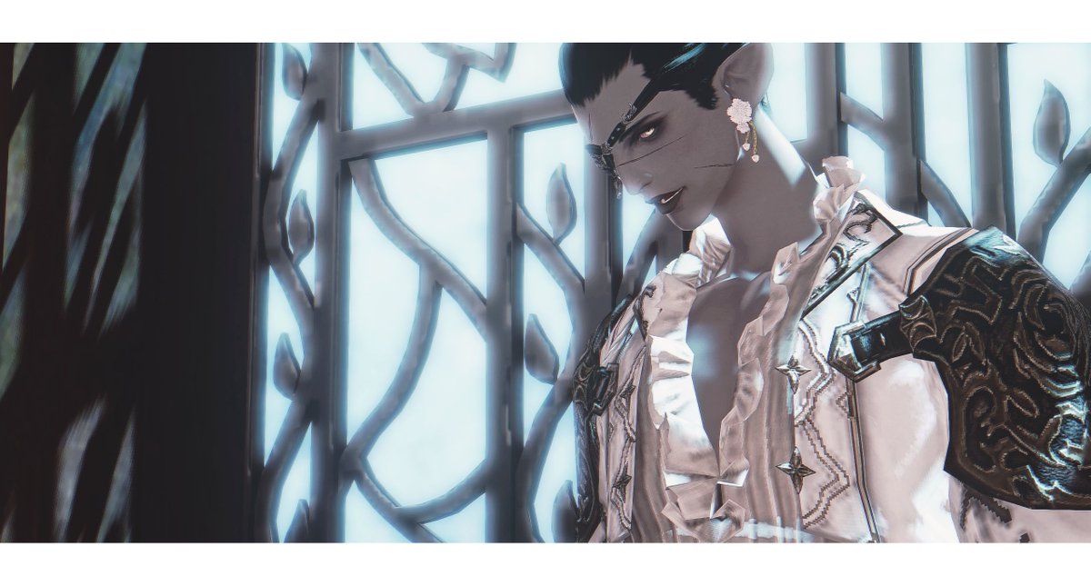 이번 커마 뒤에 두장은 냥님이 찍어주셧어요