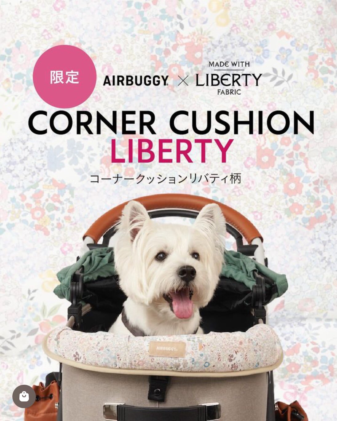 AIRBUGGY/エアバギーforペット on X: 
