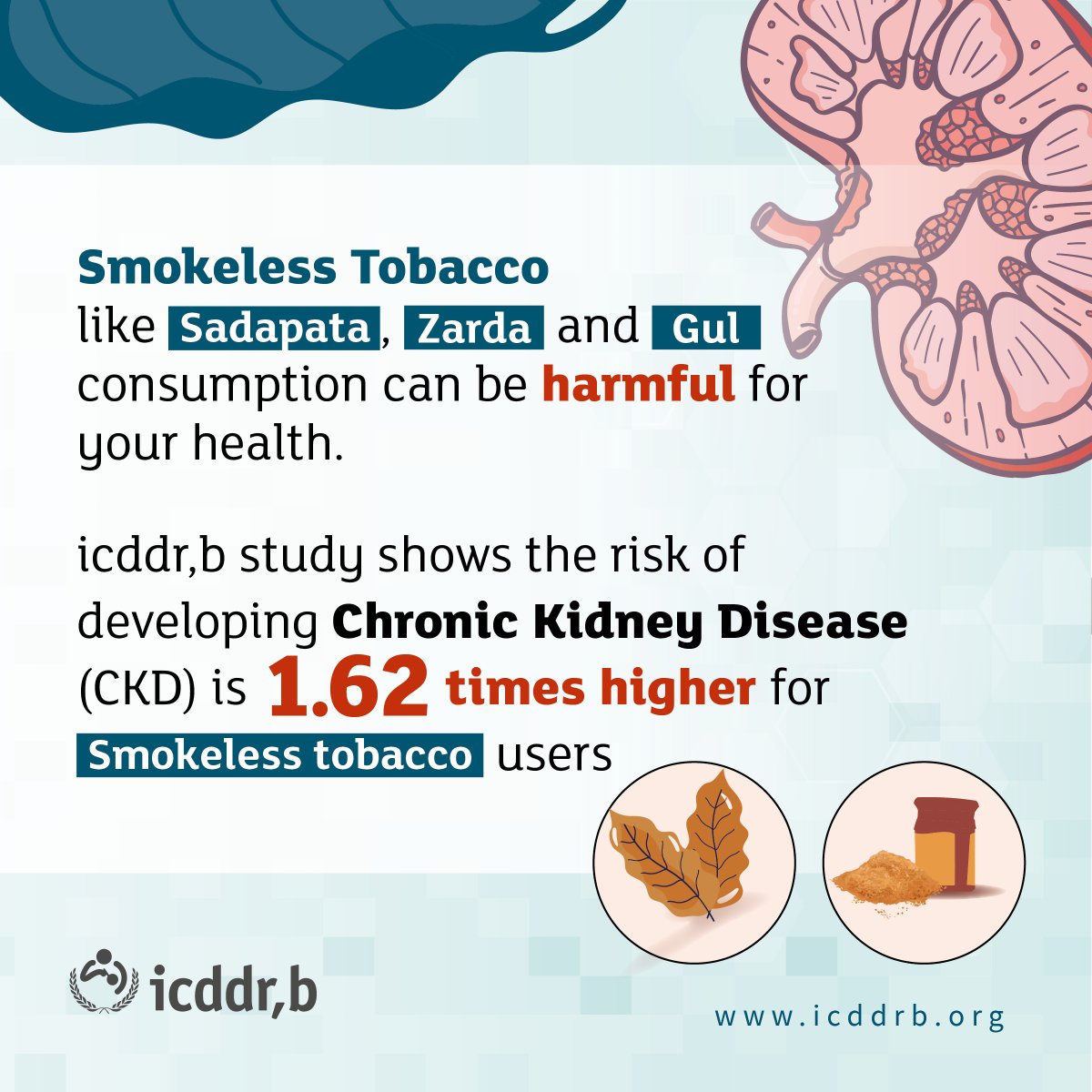 icddr_b's tweet image. 🇧🇩 In Bangladesh, users of #SmokelessTobacco like Sadapata, Zarda, Khaini, and Gul outnumber smokers, according to GATS, 2017. 🚭#icddr_b study reveals #SLT users face a 1.62 times higher risk of developing Chronic #KidneyDisease (#CKD). 👉Learn more: cutt.ly/Fw0PLGYV