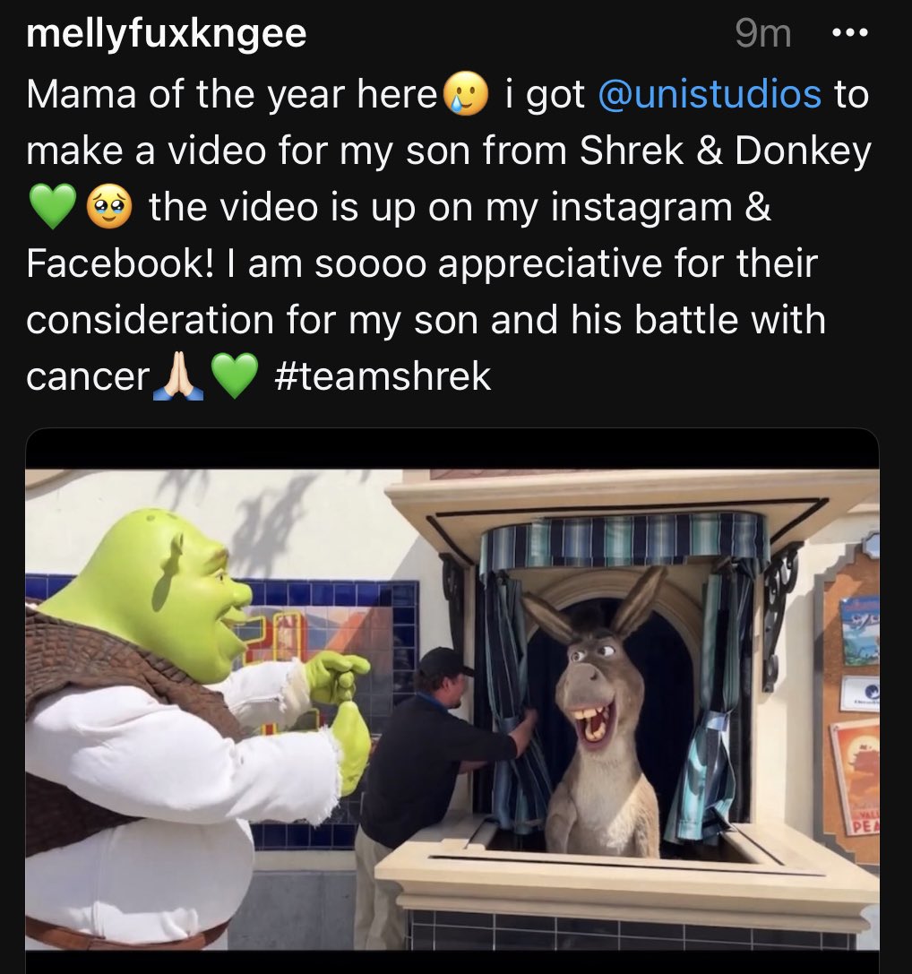 @UniStudios @Dreamworks #Cancerkids #CancerAwareness #Shrek #Donkey #walkforkids2024 #ForMatthew #Fuckcancer #kidswithcancer