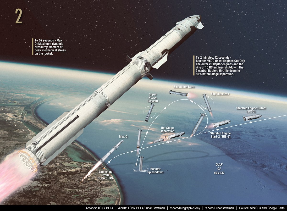 Tony Bela - InfographicTony tweet media