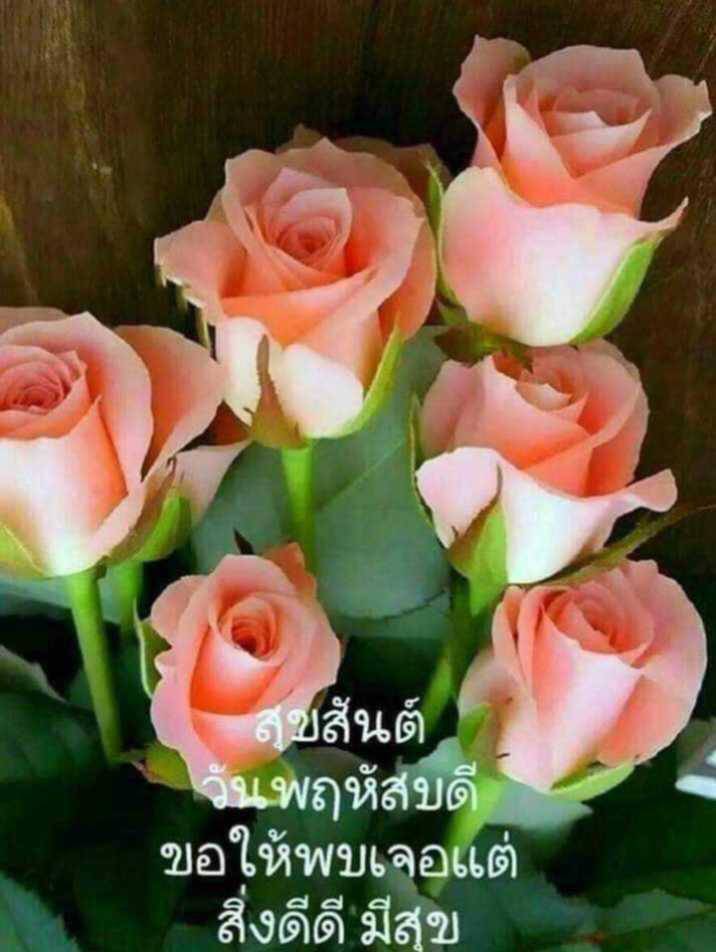 phong936008's tweet photo. @NapapornTiwong3 https://t.co/w2MEYYxNpB