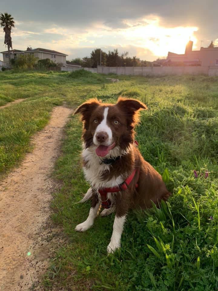 HomebrewsSA - Mike 👋🍺 tweet media