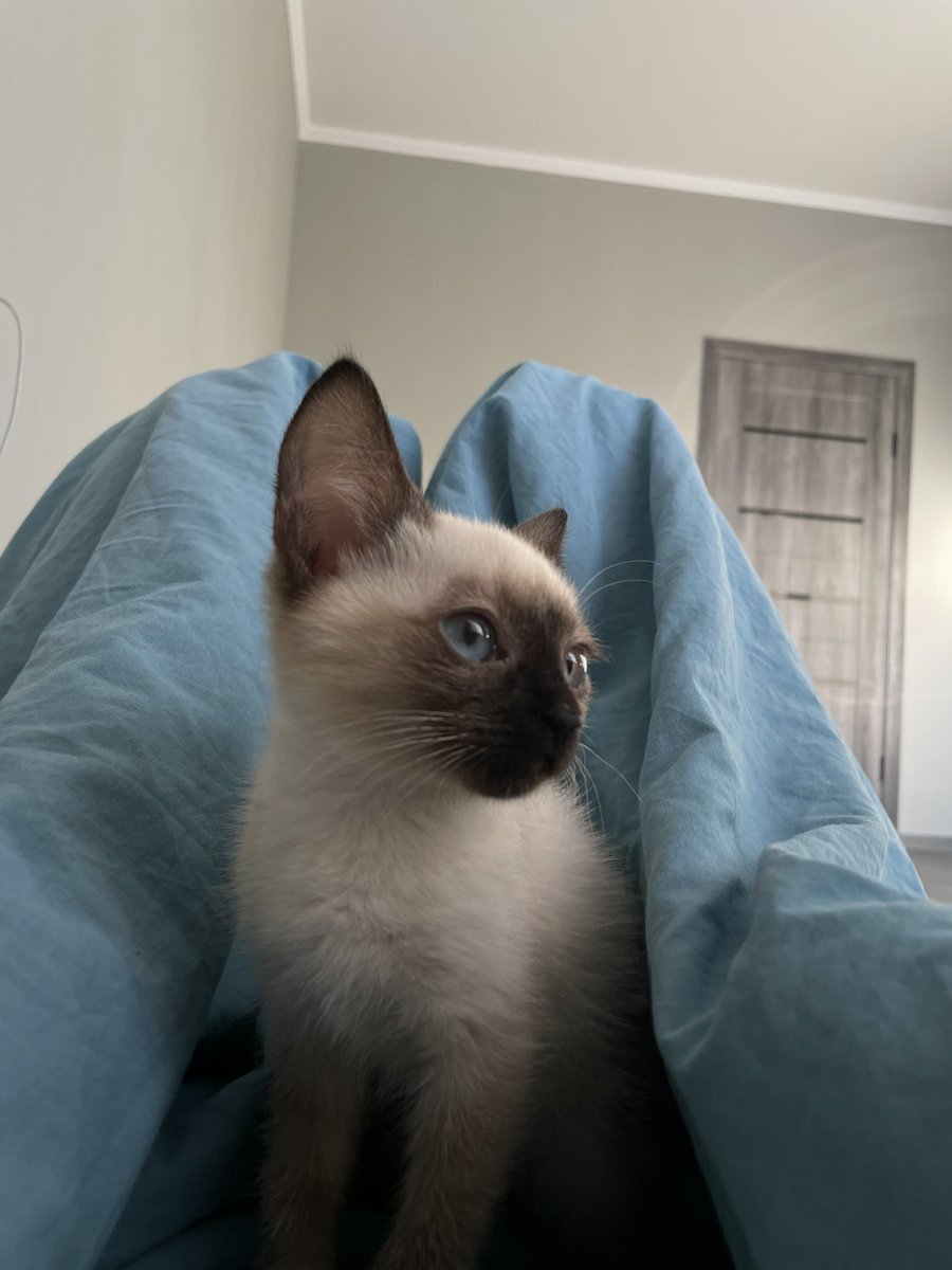 теперь у тебя есть дом 🩵