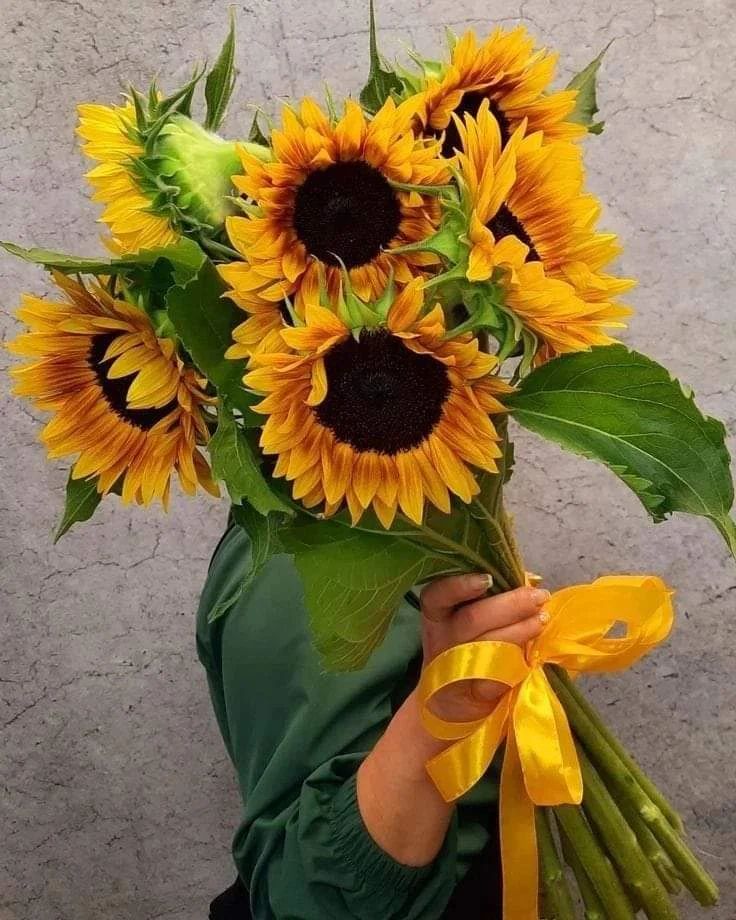 Love #sunflowers2