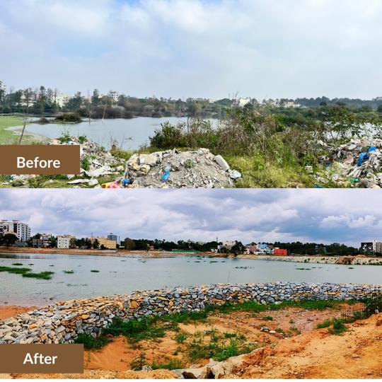 Lake rejuvenation offers a multifaceted approach to addressing water scarcity in cities, providing ecological, social, and economic benefits while enhancing urban resilience and sustainability. This is Choodasandra Lake in #Bengaluru which has been rejuvenated by @saytrees_ind…