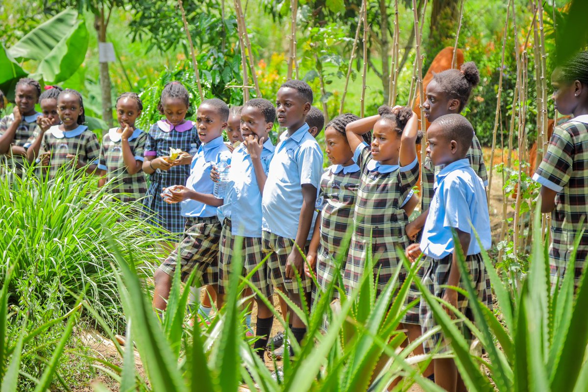 Give them the opportunity to learn their Cultures #Ewaffe #Schooltrips #Traditionfeel