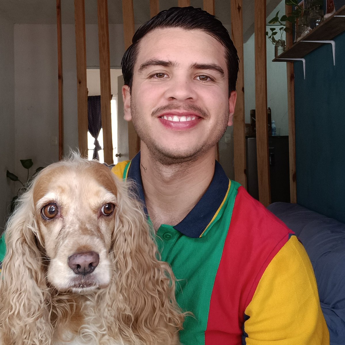 RomofRomo's tweet photo. #NuevaFotoDePerfil https://t.co/XR5KbHVQcU